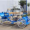 Yizhinuo wedding horse carriage/wagon Cinderella horse carriage