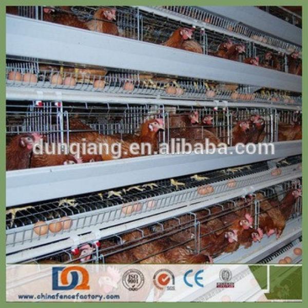 Trade Assurance Poultry Farm Laying Battery Cage for Nigeria Kenya Farmer #1 image